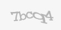 Защитный код