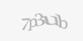 Защитный код