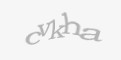 Защитный код