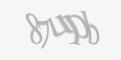 Защитный код