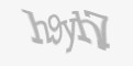 Защитный код