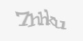 Защитный код